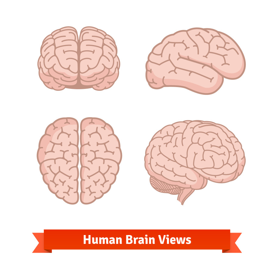 10 Things You Can Do Everyday To Benefit Your Brain Exodus 10 Things You Can Do Everyday To Benefit Your Brain Exodus